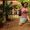 Vasundhara  Krishnan's Photo