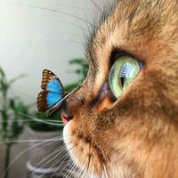 Soumia Zekoura's Photo