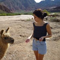 Maria Licciardi's Photo