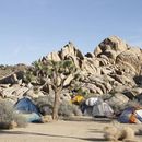 🌵 Joshua Tree Weekend: Desert Art, Stargazing MOR's picture
