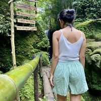 Dessy  Dessy的照片