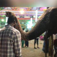 Fotos de Micheal Devda