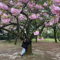 Sandra Solascasas's Photo