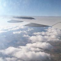 Фотографии пользователя Ольга Миминошвили