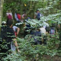 M K Ram Ylmaz的照片