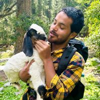 Kishore Roy的照片