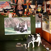 Herlia Adisasmita's Photo