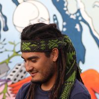 Inti Aranea的照片