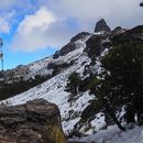 🏔️ Visita al Cofre de Perote desde Veracruz 's picture