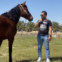 Saeed S's Photo