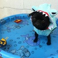 Melanie Tóth's Photo