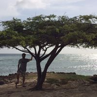 claudio herrera的照片