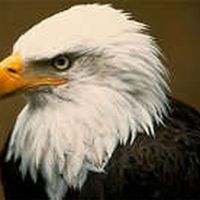 Rodrigo Arturo Favela Garcia's Photo