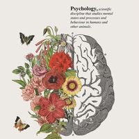 Nigar Cəlilli的照片