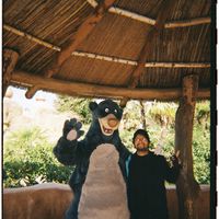 Javier M's Photo