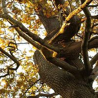 Arjun Magee的照片