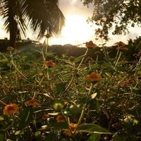 Photos de Allain Michaell