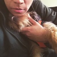 Fotos de Yeshua Ganan