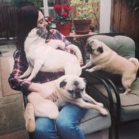 Photos de Gray Wirtanen