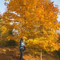 Alexandre Pavluque's Photo