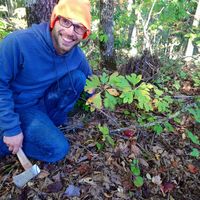 Matthew Wilkins's Photo