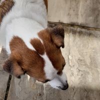 Cody Buchholz's Photo