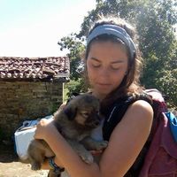 Vinyet Arque的照片