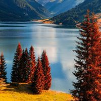 Bogdan Luchinskyi's Photo