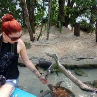 Carolina Gómez的照片