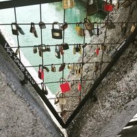 Фотографии пользователя Nicole Ivy