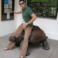 Andrew Sheep's Photo