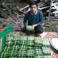 Fotos de Martin Nguyen