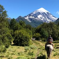 Fotos de Francisco Morgade