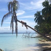 Felix Verner's Photo