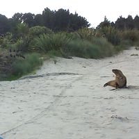 Gaetan Montfort's Photo