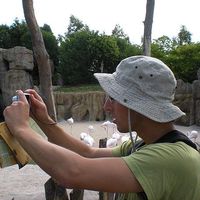 Michele Bardi's Photo