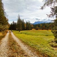 Patrick Brey's Photo