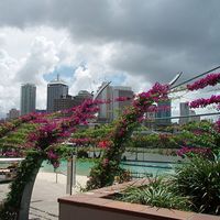 Davina Beswick's Photo