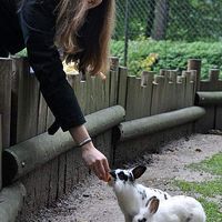 Joanna Chuda的照片