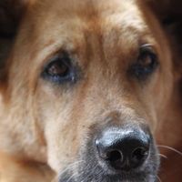 Dairo Casallas的照片