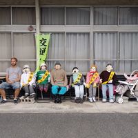 Jamie Harkis的照片