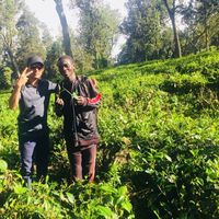 Faisal Amin的照片