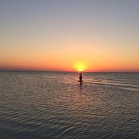 Bruno Dimat的照片