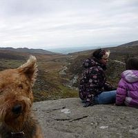 Sarah.Shane.and.Miso's Photo