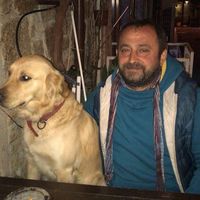 Mehmet Gümüş的照片