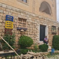 Mehmet Sucin的照片