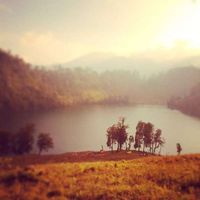 Sherwin Rahardjo的照片