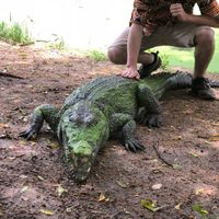 Henry Blinoff的照片