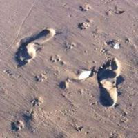 Aaron Girard的照片