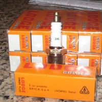 Giovanni Luigi的照片